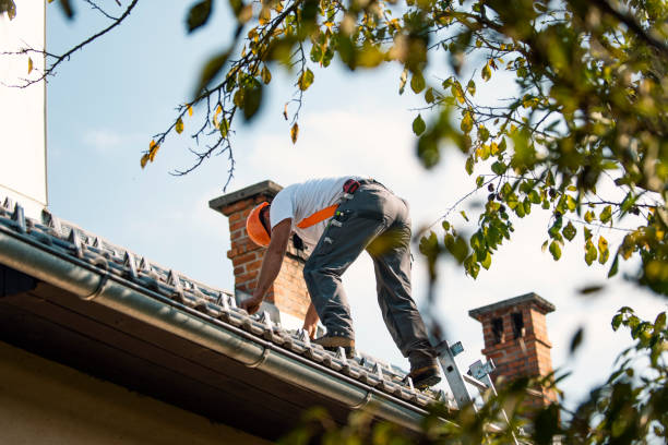 Best Roof Leak Repair  in Meridian, MS