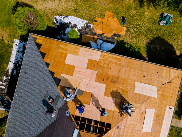 Best Commercial Roofing Services  in Meridian, MS