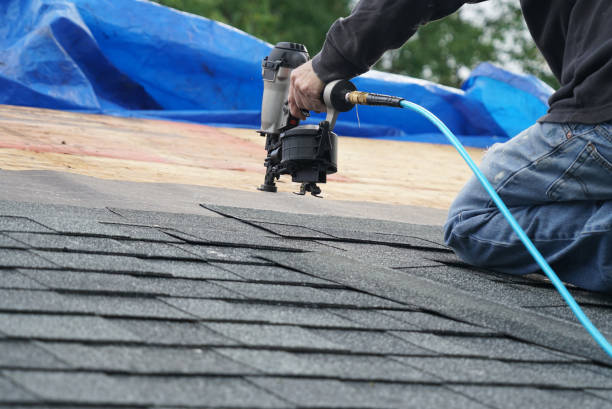 Best New Roof Installation  in Meridian, MS