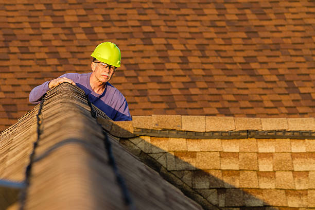 Best Gutter Installation and Roofing  in Meridian, MS