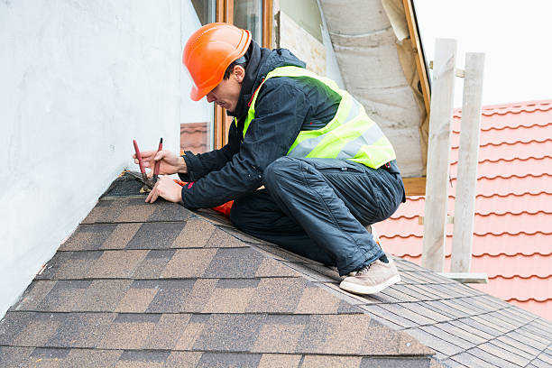 Best Metal Roofing Contractor  in Meridian, MS