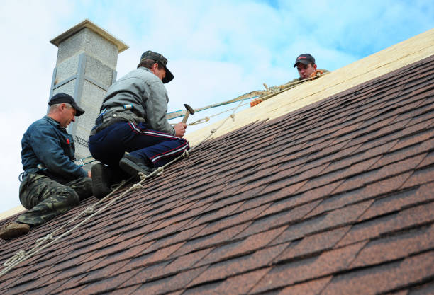 Quick and Trustworthy Emergency Roof Repair Services in Meridian, MS